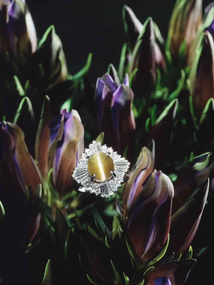 アベニューA写真