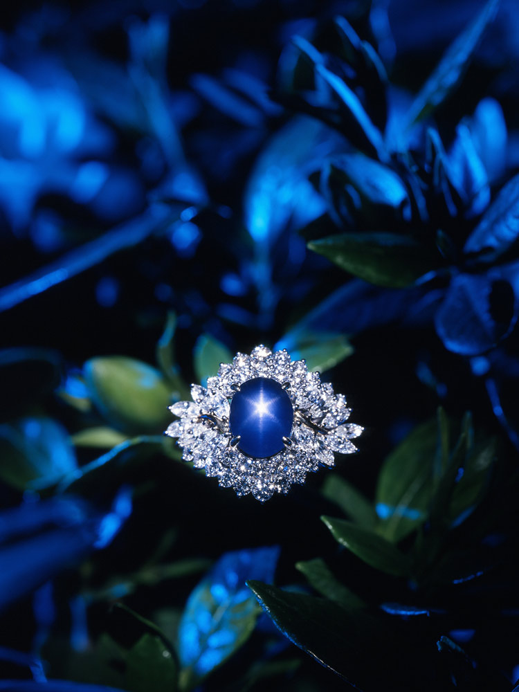 アベニューA写真